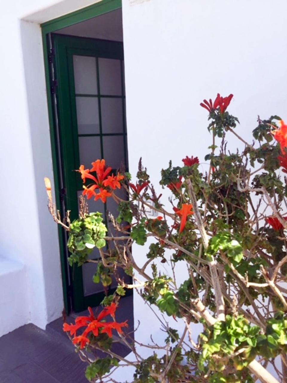 Matagorda Tías